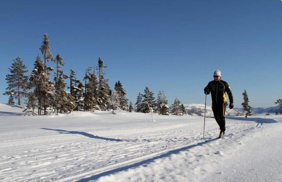 Norbel Hytte Norway วราดาล ภายนอก รูปภาพ